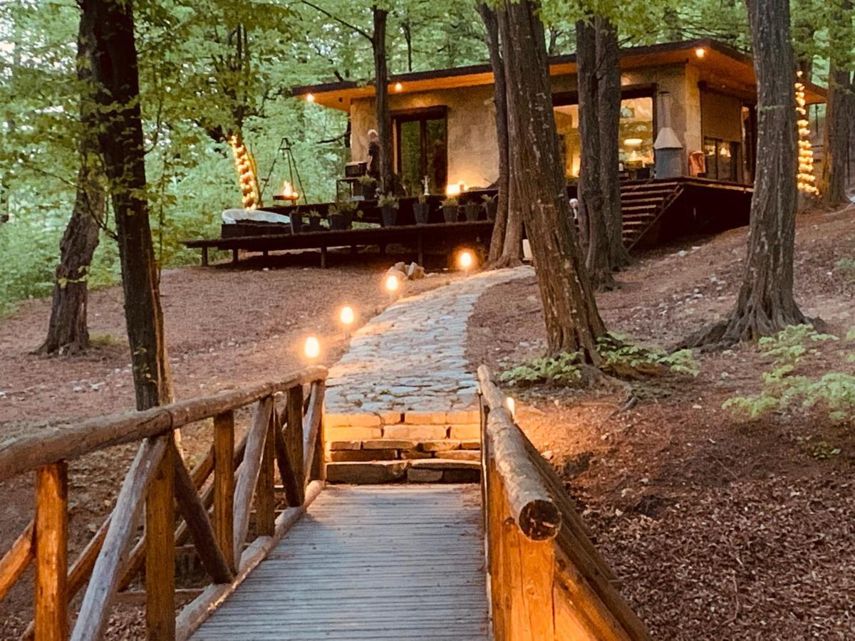 Luxury Lake House & Glamping Villa Teşila Kültér fotó