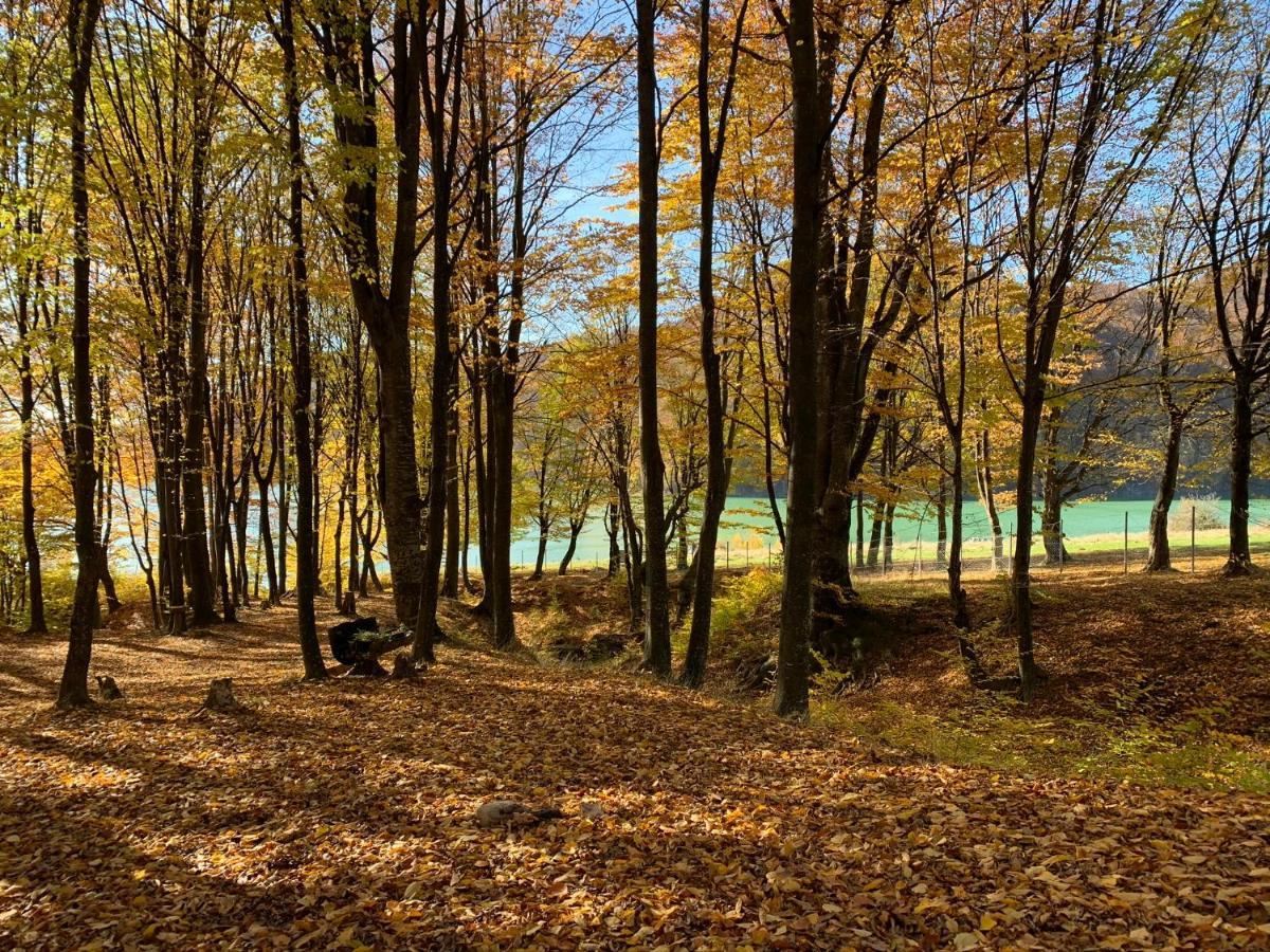 Luxury Lake House & Glamping Villa Teşila Kültér fotó