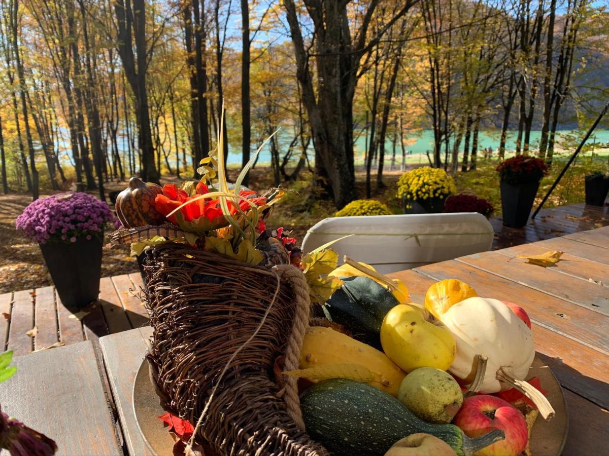 Luxury Lake House & Glamping Villa Teşila Kültér fotó