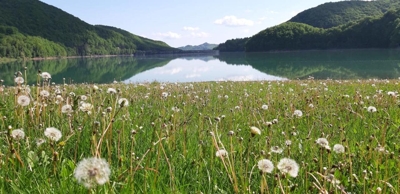 Luxury Lake House & Glamping Villa Teşila Kültér fotó