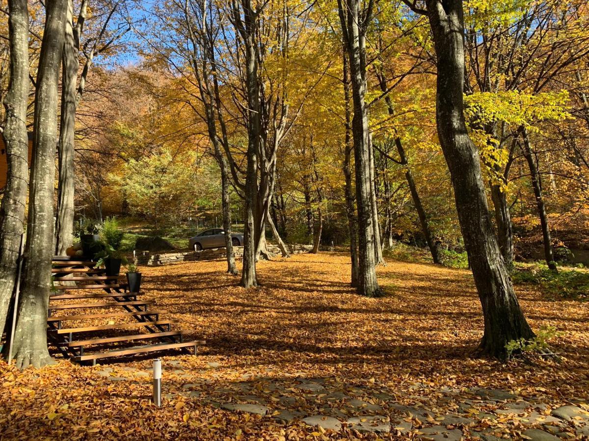 Luxury Lake House & Glamping Villa Teşila Kültér fotó